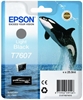 Picture of Epson ink cartridge light black T 7607