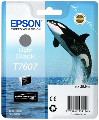 Attēls no Epson ink cartridge light black T 7607