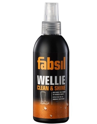 Изображение Wellie Clean & Shine 150 ml
