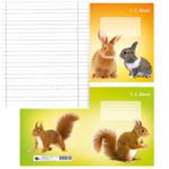 Picture of Burtnīca ABC 1-2 klasei,  12 lapas,  līniju