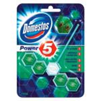 Picture of WC-bloks DOMESTOS Power "5" Pine 55g.