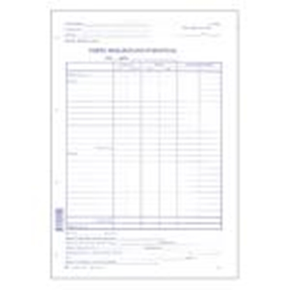 Picture of Preču realizācijas atskaite A4,  10 lapas