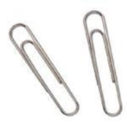 Изображение Saspraudes 78mm/100g.