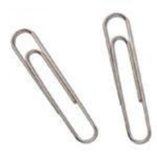 Picture of Saspraudes 78mm/100g.