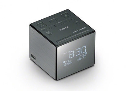 Picture of Sony XDR-C1DBP silver / black