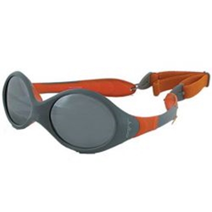Picture of JULBO Looping 2 Spectron 4 / Rozā