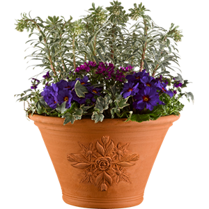 Picture for category Flower pots