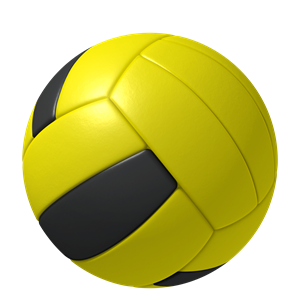 Изображение для категории Волейбол