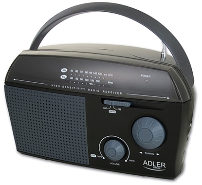 Picture of Radio  AD1119