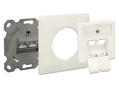 Picture of Delock Modular Wall Outlet flush mount 2 Port Cat.6A LSA