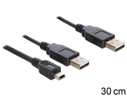 Attēls no Delock Cable 2 x USB 2.0-A male  USB mini 5-pin