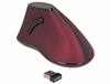 Picture of Delock Ergonomic vertical optical 5-button mouse 2.4 GHz wireless