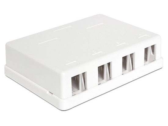 Picture of Delock Keystone Surface Mounted Box 4 Port
