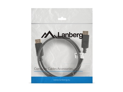 Изображение LANBERG CA-DPDP-10CC-0010-BK cable