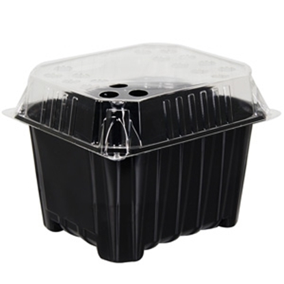 Attēls no Dēstu kasete-siltumnīca