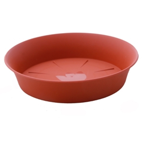 Изображение Paliktnis puķu podam Tulipan 12cm g.brūns