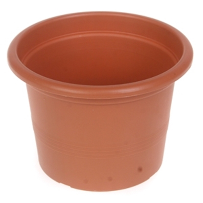 Attēls no Puķu pods Campanula 13cm g.brūns