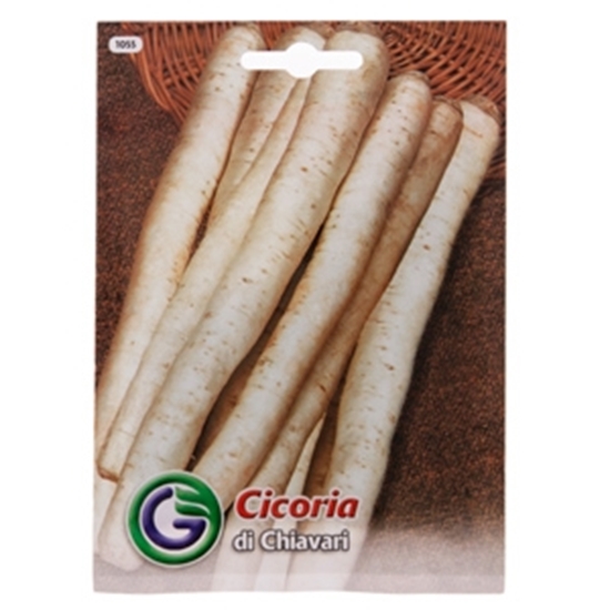 Picture of Sēklas cigoriņi sakņu 11g GS