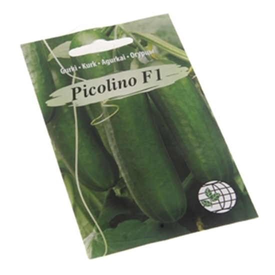 Picture of Sēklas Gurķi Picolino F1 5 sēklas