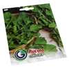 Изображение Sēklas Salāti rukola 15g GS