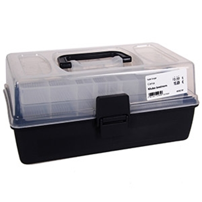 Attēls no Kaste Konger