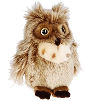 Attēls no Mīkstā rot.Pūce