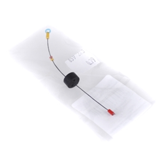 Picture of Sardziņš ''Kuiļa sara''