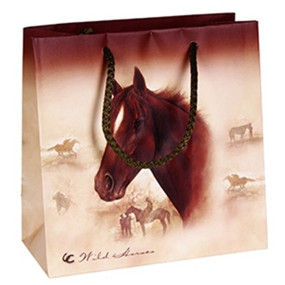 Picture of Dāvanu maisiņš 16x16cm mazs T2