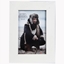 Picture of Fotorāmis Styler 10x15cm balts