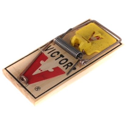 Attēls no Lamatas pelēm koka Victor 1gab.