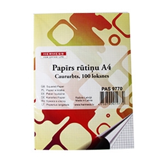 Picture of Papīrs A4/100 loksnes, rūtiņu, caururbts