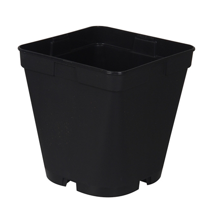 Attēls no Puķu pods 16x16x16cm kvadrātveida