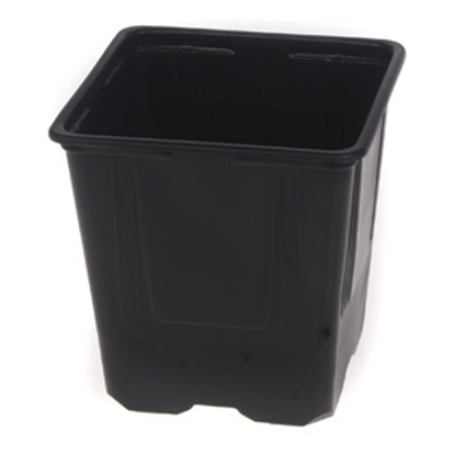 Attēls no Puķu pods V11x11x12PP 1gb