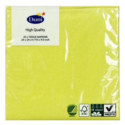 Attēls no Salvetes 24cm kivi