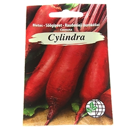 Picture of Sēklas bietes Cylindra 4g