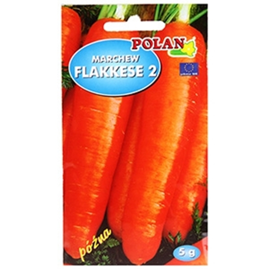 Picture of Sēklas burkāni Flakkese 2 5g