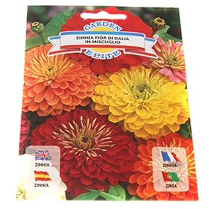 Picture of Sēklas Cinnija dāliju mix 1.25g