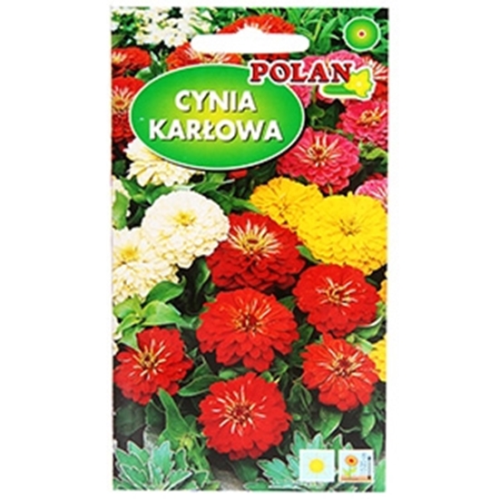 Picture of Sēklas Cinnijas zemās mix 1g