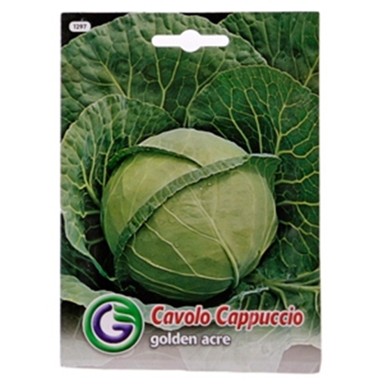 Picture of Sēklas galviņkāposti 'Golden Acre' 5g GS