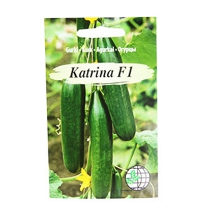 Picture of Sēklas Gurķi silt.Katrina F1 3sēklas