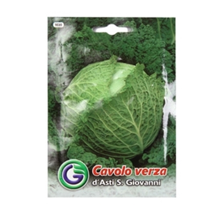 Picture of Sēklas Kāposti savojas d'Asti S.Giovanni 5g