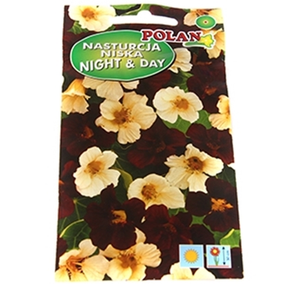 Attēls no Sēklas Kreses Night and day 2g