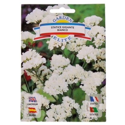 Attēls no Sēklas Limonija balta 0.3g