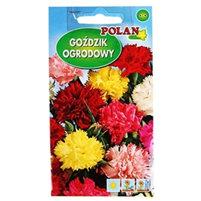 Picture of Sēklas Neļķes dārza 1g