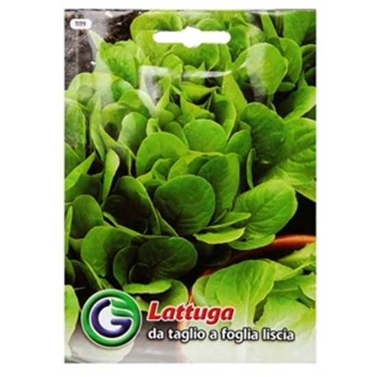 Picture of Sēklas Salāti galviņu Nadine AMC 30gran.