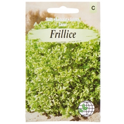 Picture of Sēklas Salāti Frillice AMC 18 gran.