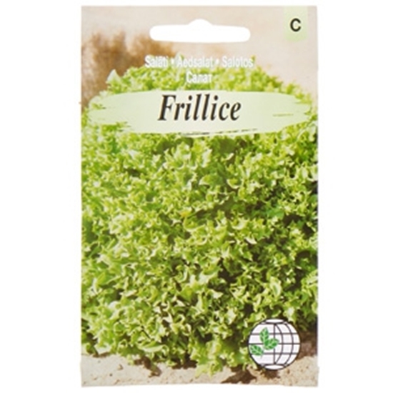 Picture of Sēklas Salāti Frillice AMC 18 gran.