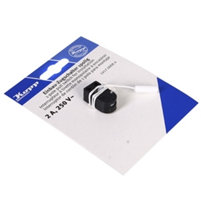 Picture of Slēdzis-sp. 2A 250V