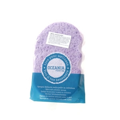 Attēls no Sūklis Corolla