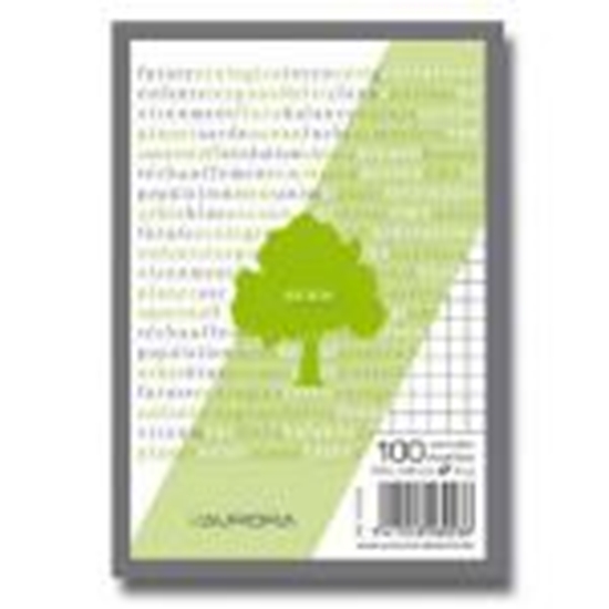 Picture of Bloknots A6/100 lapas rūtiņu no pārstrādāta papīra Aurora